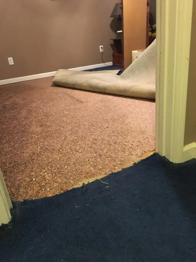 Carpet pad removal revealing water damage during Water Mitigation Services in Monroeville
