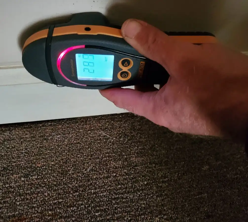 Moisture detection at baseboard during Mold Inspection & Testing in Monroeville